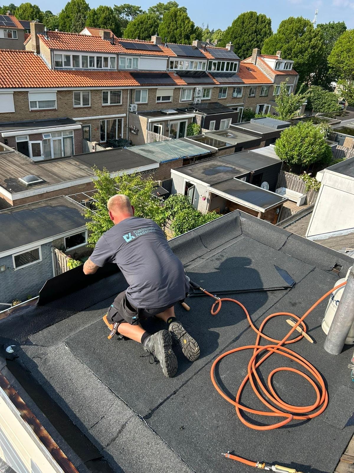 Djordi 1 Djordi in actie